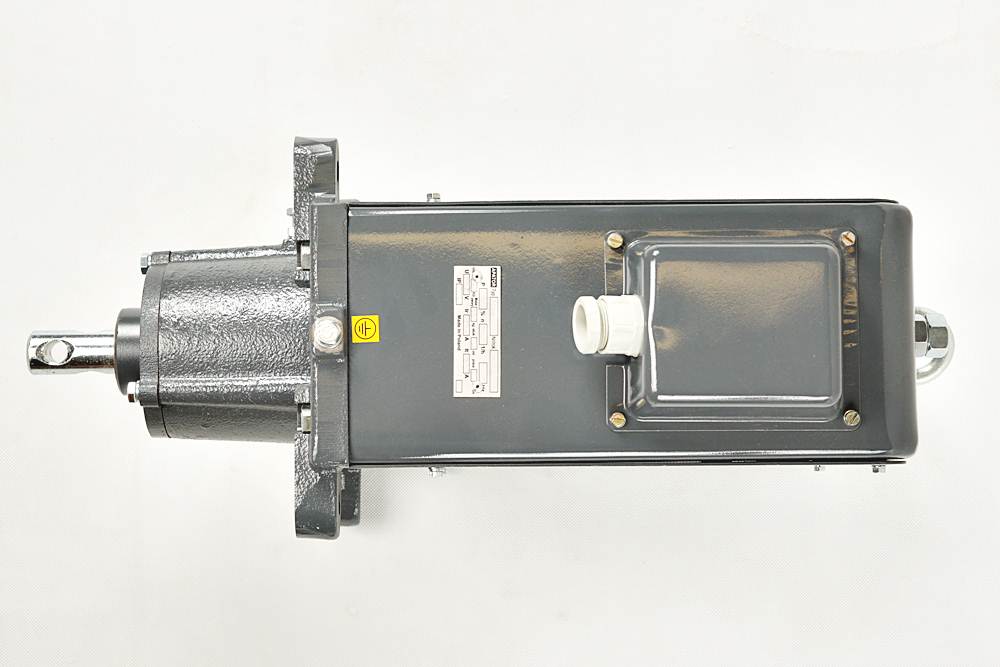 DZEM 30/1,3